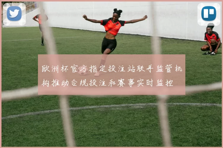 欧洲杯官方指定投注站联手监管机构推动合规投注和赛事实时监控