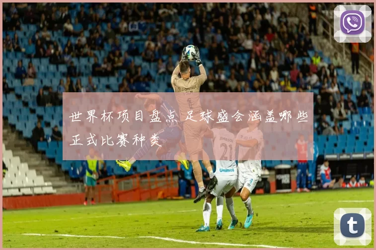 世界杯项目盘点 足球盛会涵盖哪些正式比赛种类