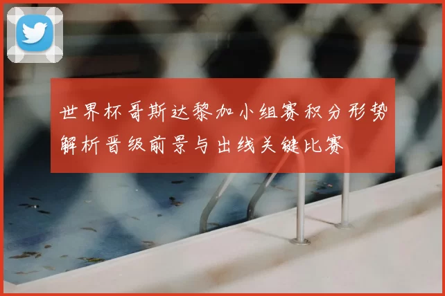 世界杯哥斯达黎加小组赛积分形势解析晋级前景与出线关键比赛