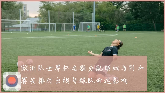 欧洲队世界杯名额分配明细与附加赛安排对出线与球队命运影响