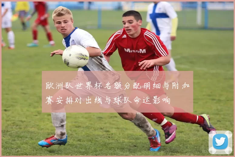 欧洲队世界杯名额分配明细与附加赛安排对出线与球队命运影响