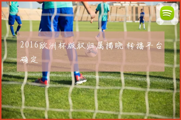 2016欧洲杯版权归属揭晓 转播平台确定
