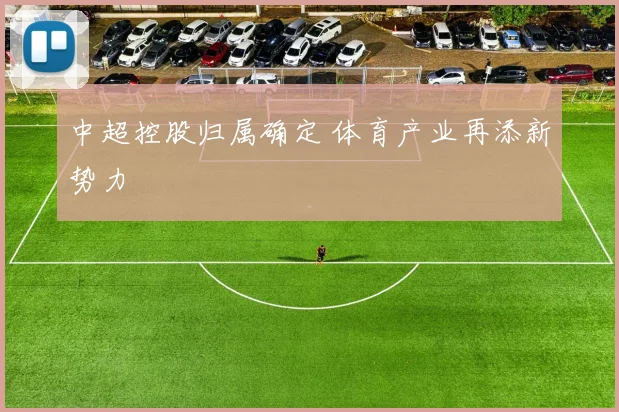 中超控股归属确定 体育产业再添新势力