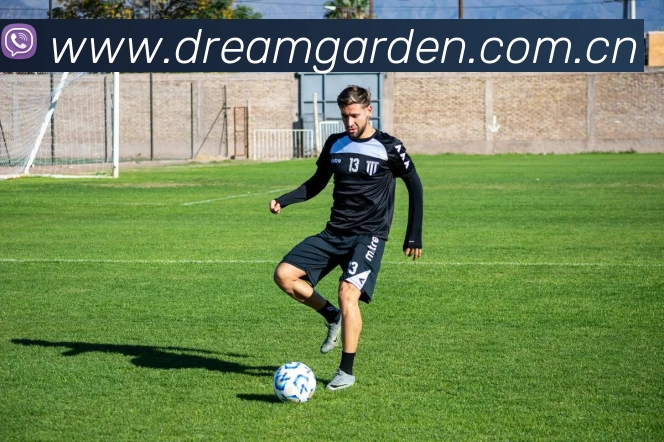 千亿官方站网页版 - 千亿(中国)发展历程